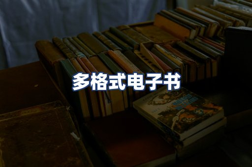 多格式电子书